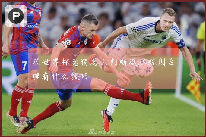 买世界杯竞猜怎么判断返水规则合理有什么技巧