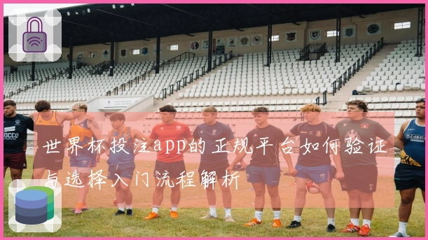 世界杯投注app的正规平台如何验证与选择入门流程解析