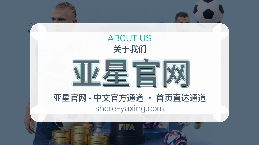 亚星官网公司简介与平台服务展示
